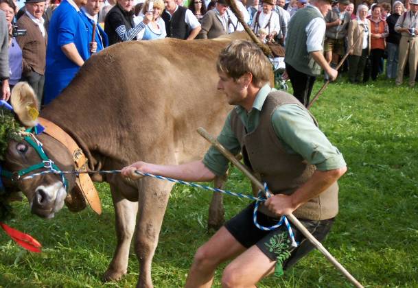 10_a-ganz-a-belltige.jpg