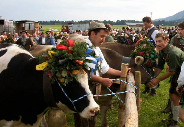 12_jetzt-werden-sie-festgezurrt.JPG