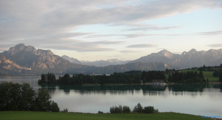 Bild_4.jpg