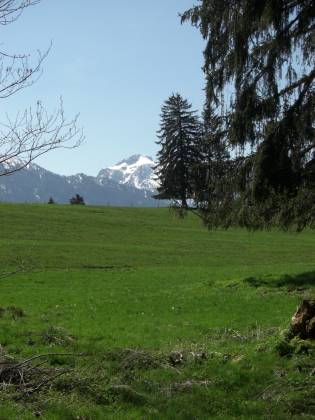 20080427_04.JPG