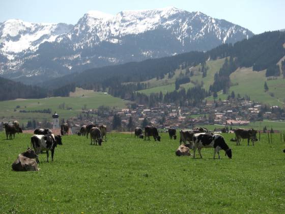 20080427_08.JPG