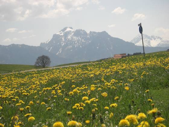 20080509_13.JPG