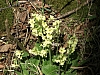 20080427_03.JPG