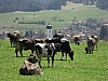 20080427_09.JPG