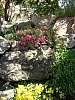 20080507_11.JPG