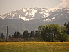 20080509_12.JPG