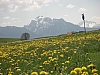 20080509_13.JPG
