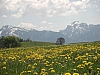 20080509_14.JPG