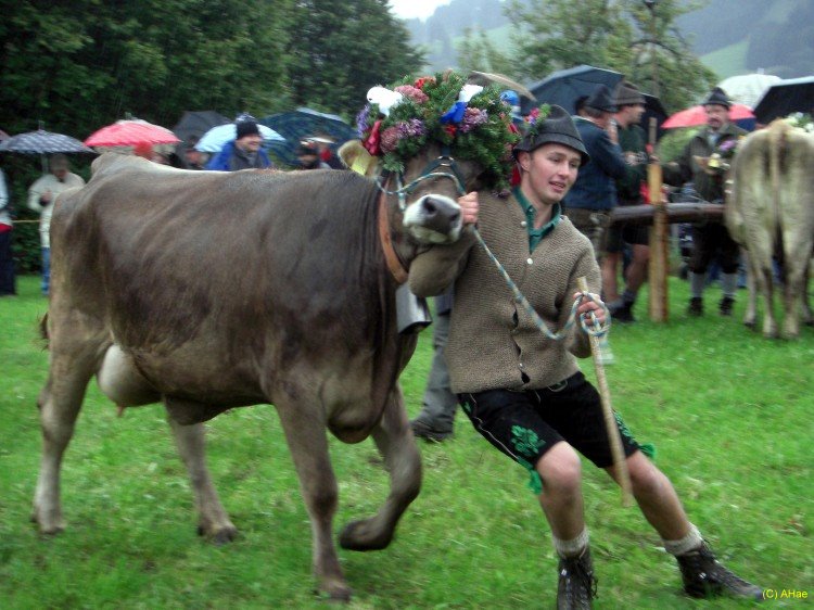 Bild: 01_Aktion_pur.jpg