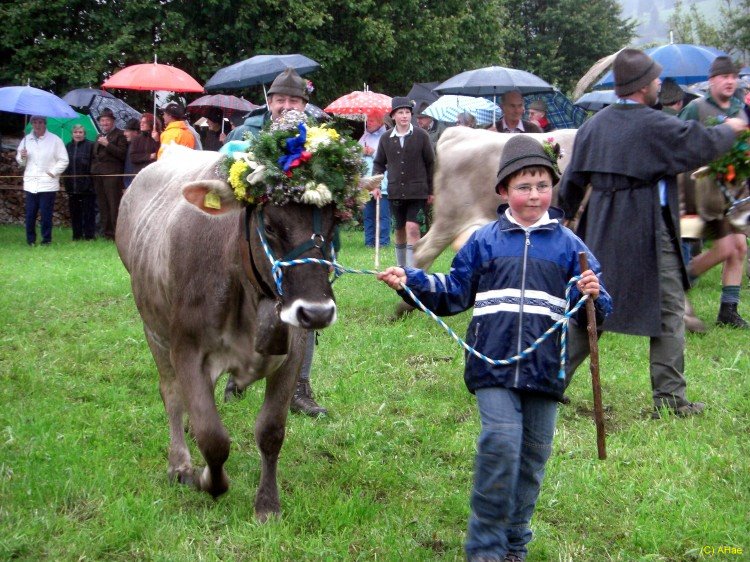 Bild: 02_oder_gmuetlich.jpg
