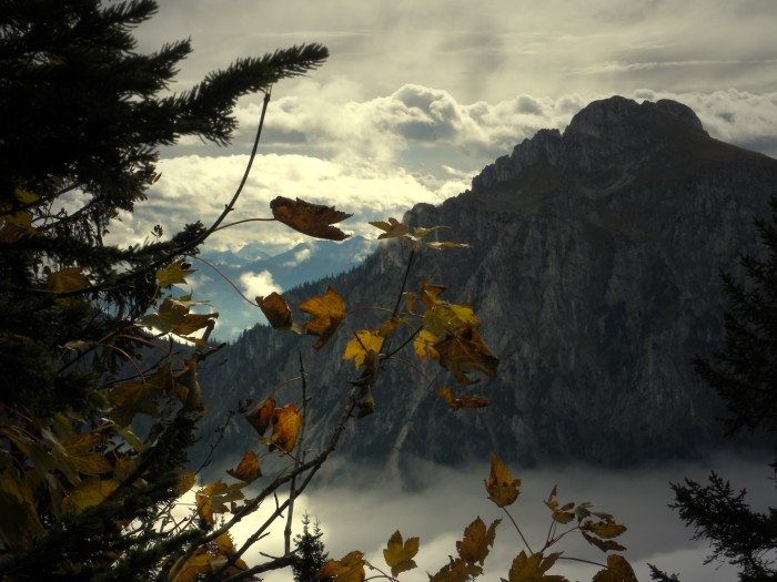 Bild: 19_ein_Herbstblick_zum_Saeuling.jpg