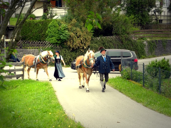 Bild: 05_dieHaflinger-treffen-ein.jpg