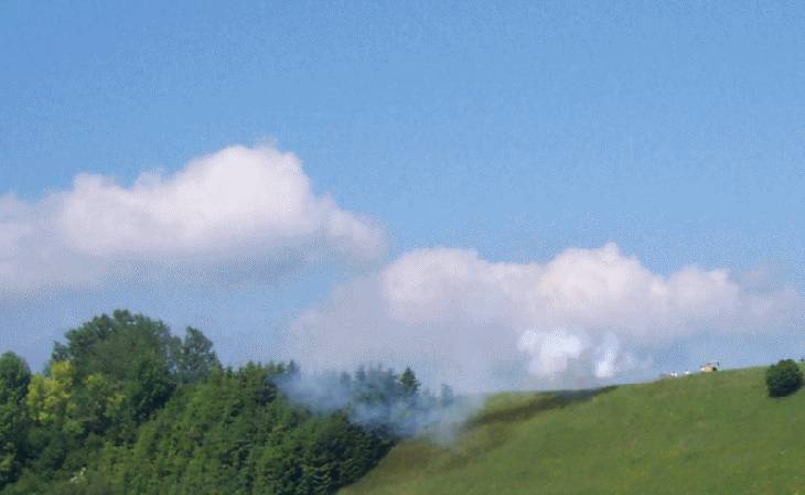 19_das-Gras-ist-versengt.gif