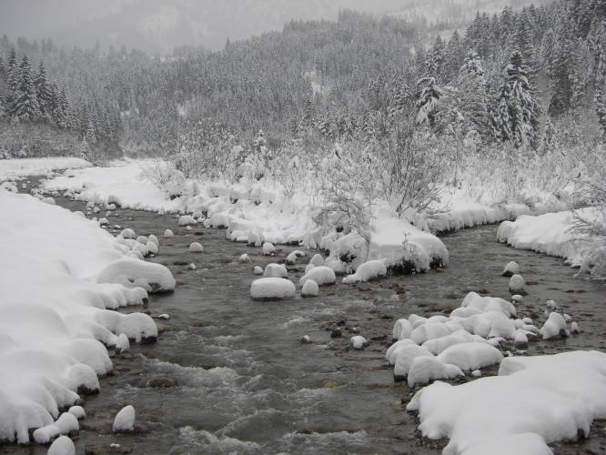 18_der-Halblech.JPG