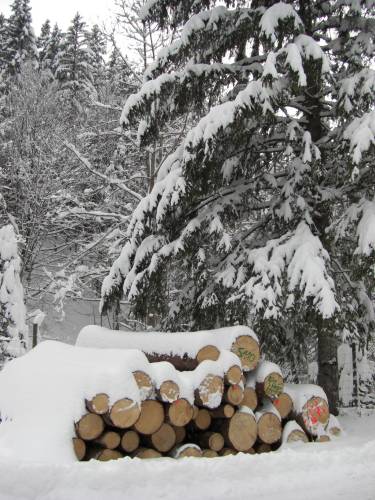 21_Holz-Ganter.JPG